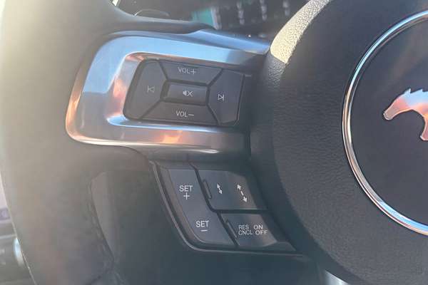 2019 Ford Mustang  FN