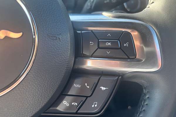 2019 Ford Mustang  FN