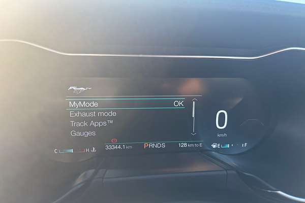 2019 Ford Mustang  FN