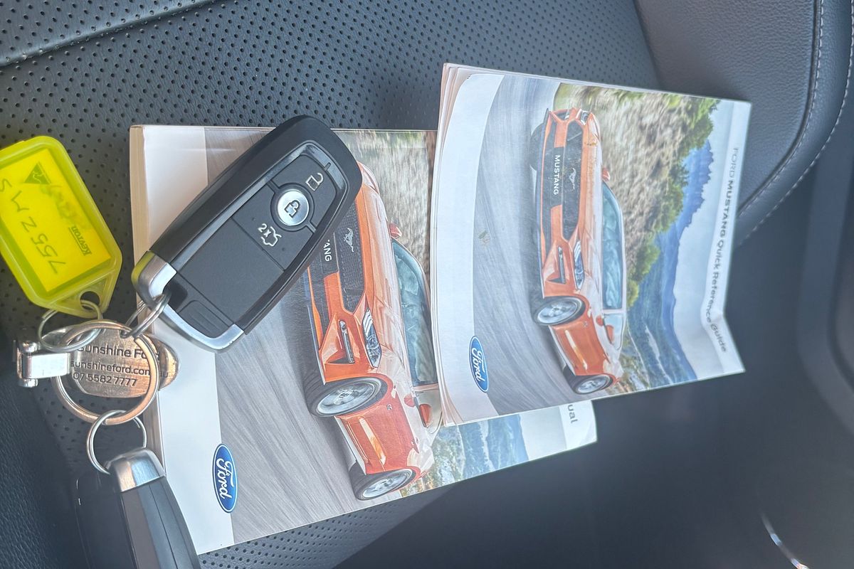 2019 Ford Mustang  FN