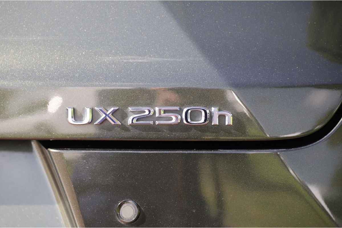 2024 Lexus UX UX250h Luxury MZAH10R