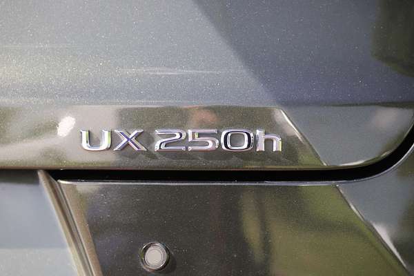 2024 Lexus UX UX250h Luxury MZAH10R