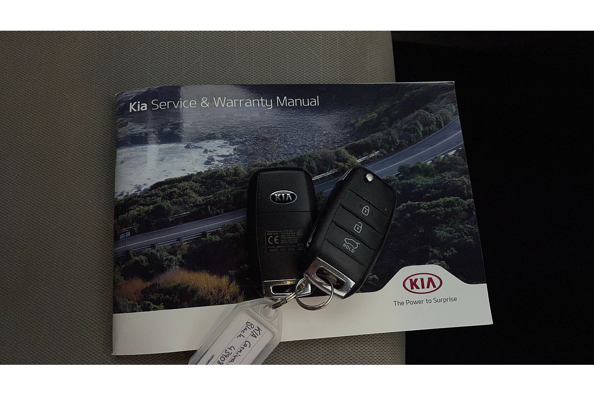 2020 Kia Carnival S YP