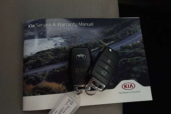 2020 Kia Carnival S YP
