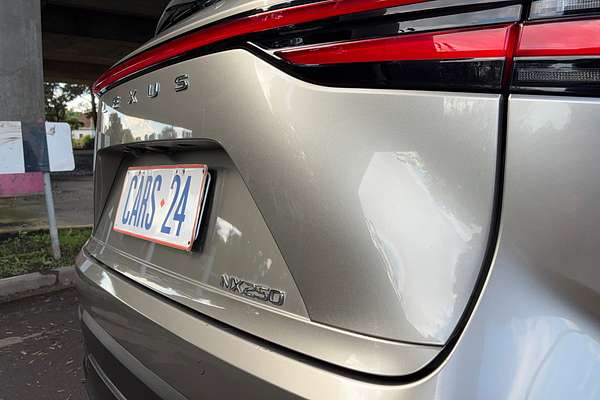 2022 Lexus NX NX250 AAZA20R