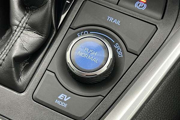 2020 Toyota RAV4 Cruiser AXAH54R