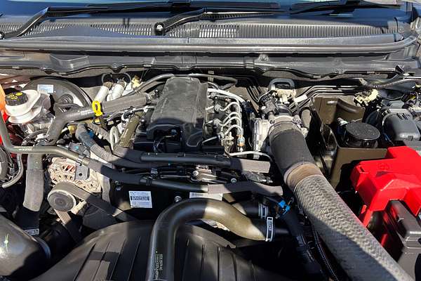 2019 Ford RANGER XL Hi-Rider PX MkIII  2.2L