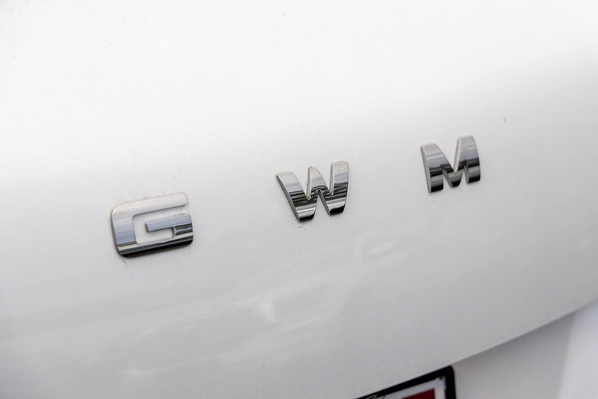 2025 GWM Ora Standard Range ES11