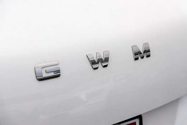 2025 GWM Ora Standard Range ES11
