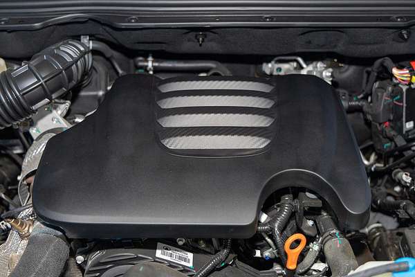 2024 GWM Ute Cannon Premium NPW 4X4