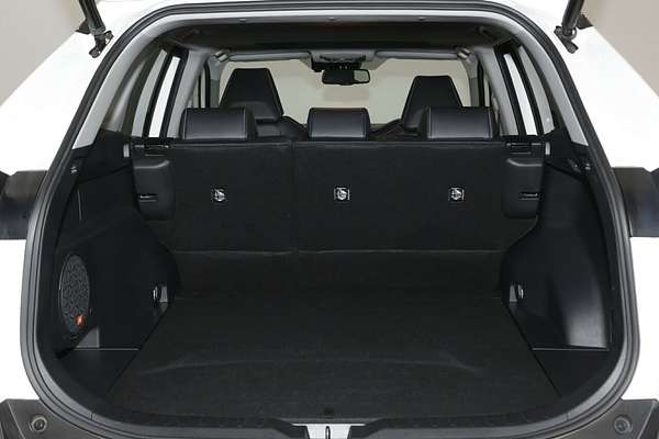 2020 Toyota RAV4 Cruiser AXAH54R