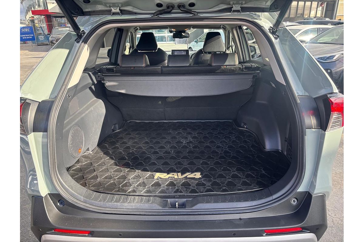 2019 Toyota RAV4 Edge AXAA54R