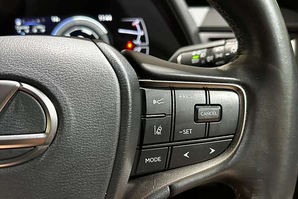 2020 Lexus UX UX250h Luxury MZAH10R