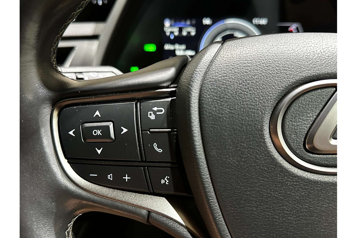 2020 Lexus UX UX250h Luxury MZAH10R