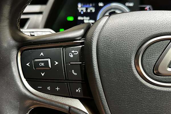 2020 Lexus UX UX250h Luxury MZAH10R