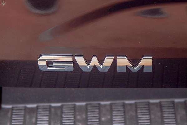 2021 GWM Ute Cannon NPW 4X4
