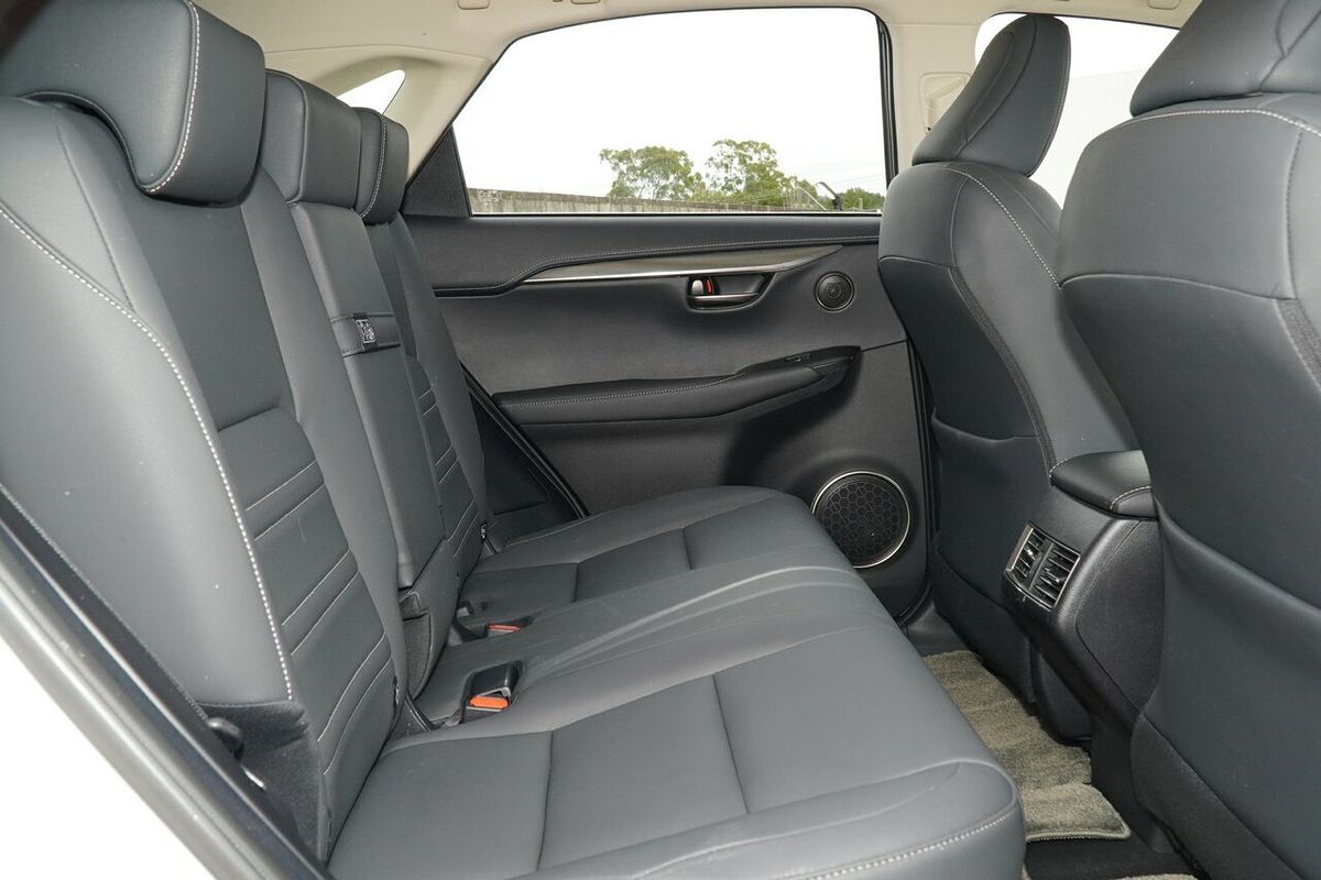 2020 Lexus NX NX300 Luxury AGZ10R