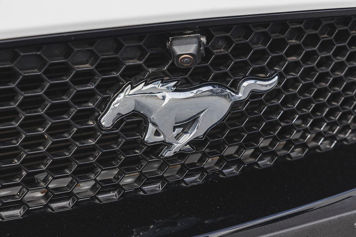 2019 Ford Mustang GT FN