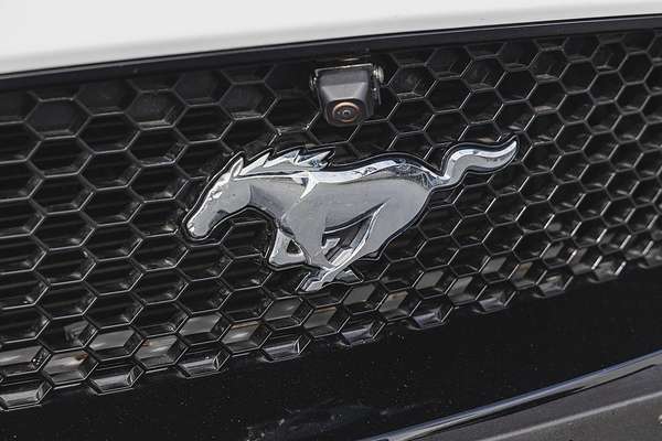 2019 Ford Mustang GT FN