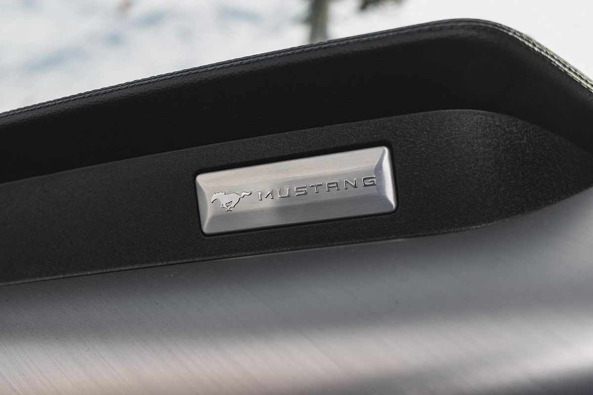2019 Ford Mustang GT FN