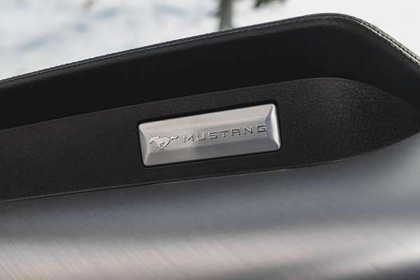 2019 Ford Mustang GT FN
