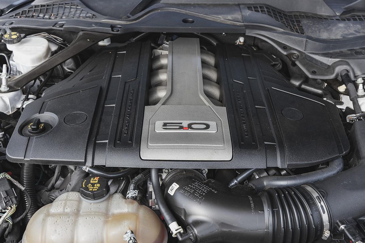 2019 Ford Mustang GT FN