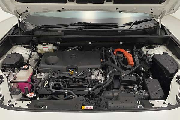 2020 Toyota RAV4 Cruiser AXAH54R