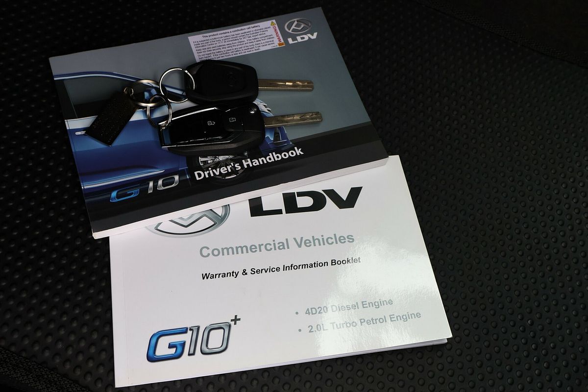 2023 LDV G10 + SV7C