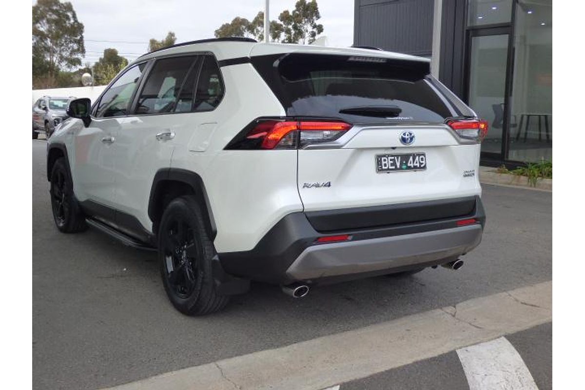 2019 Toyota RAV4 Cruiser AXAH52R