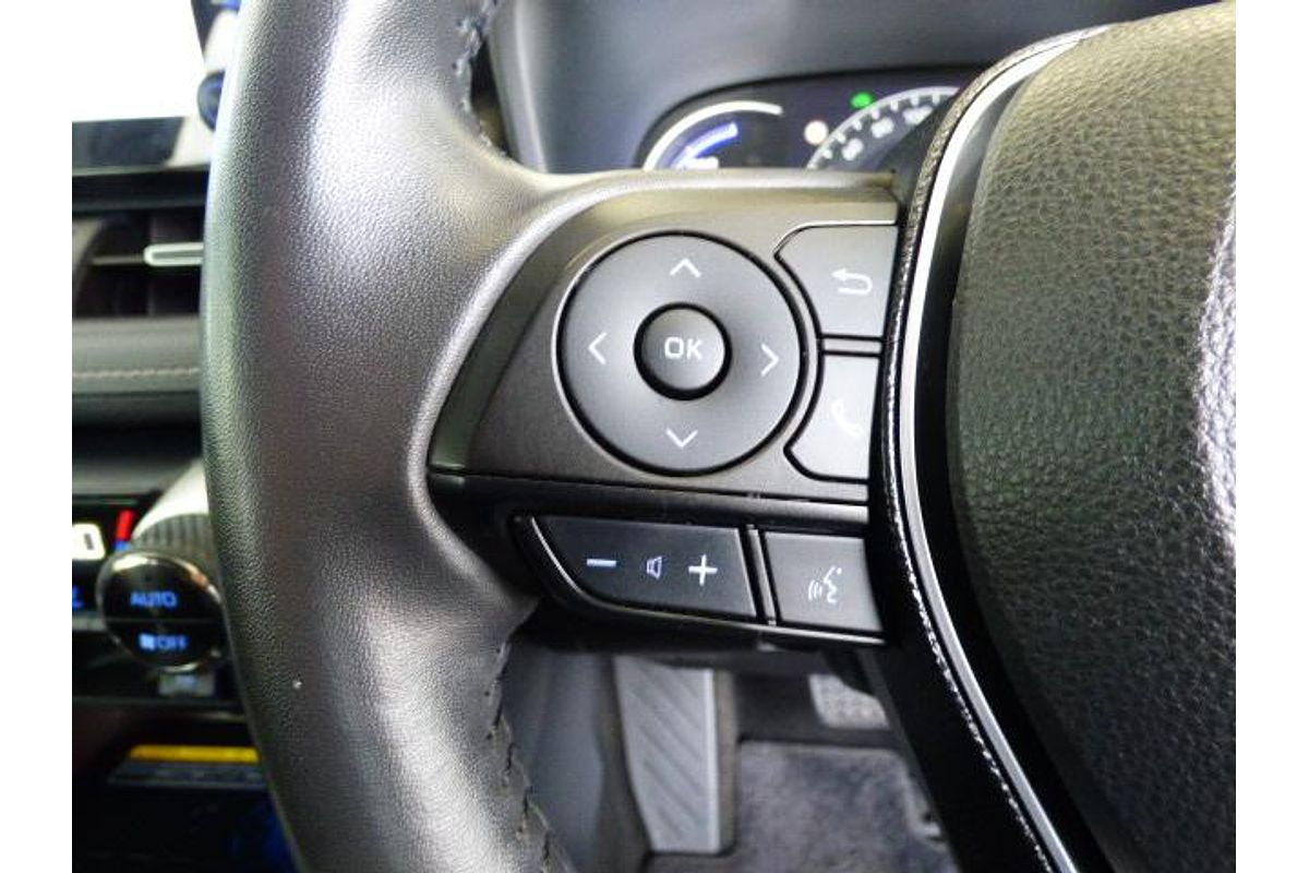 2019 Toyota RAV4 Cruiser AXAH52R