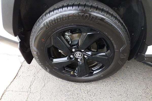 2019 Toyota RAV4 Cruiser AXAH52R