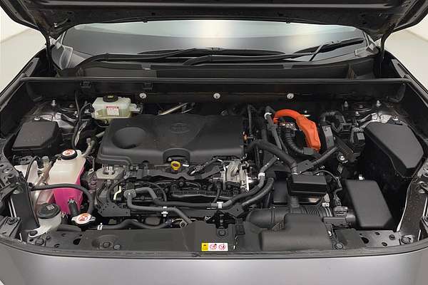 2019 Toyota RAV4 GXL AXAH54R