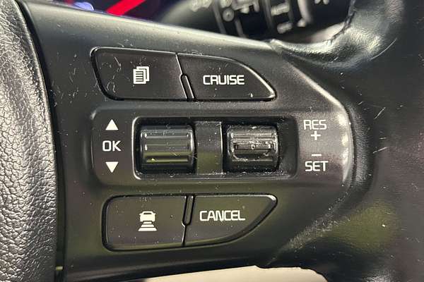 2019 Kia Carnival Platinum YP