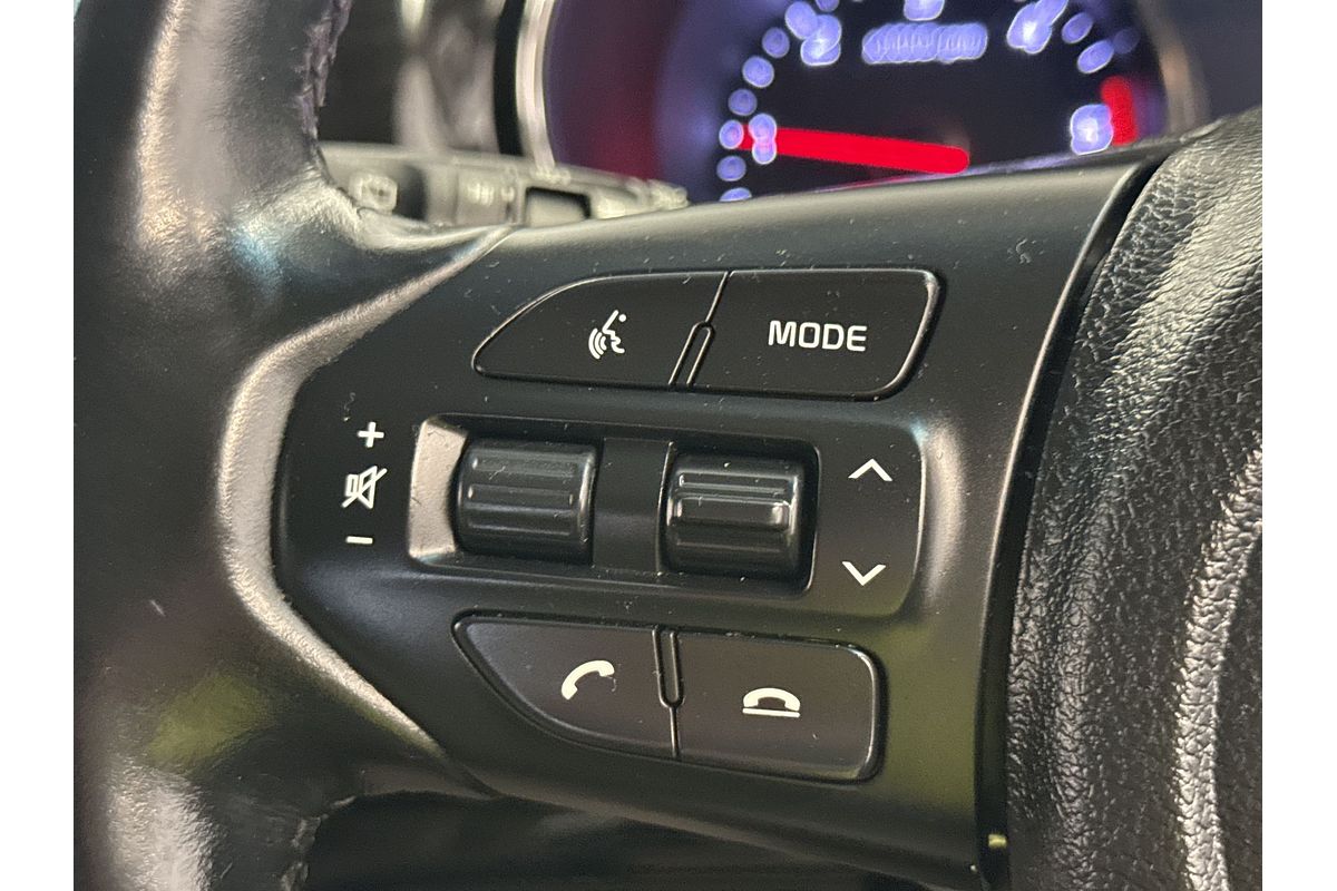 2019 Kia Carnival Platinum YP