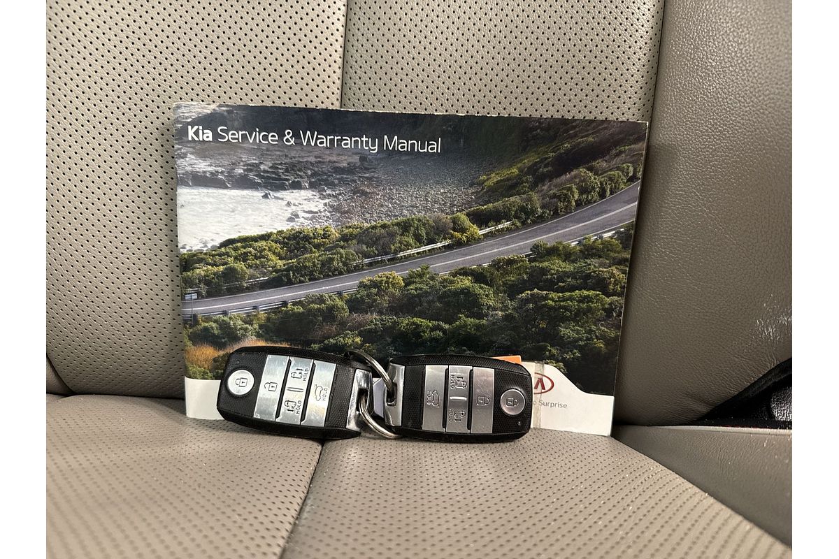 2019 Kia Carnival Platinum YP