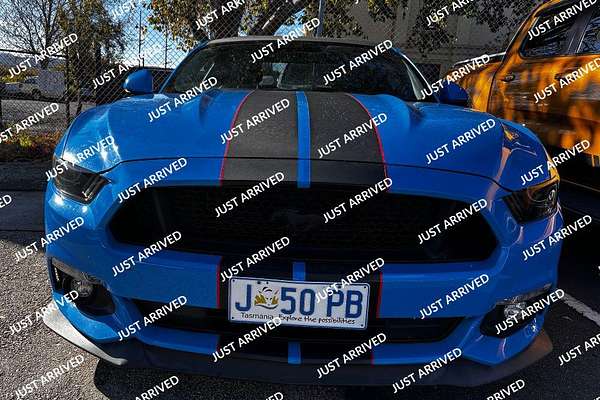 2017 Ford Mustang GT FN