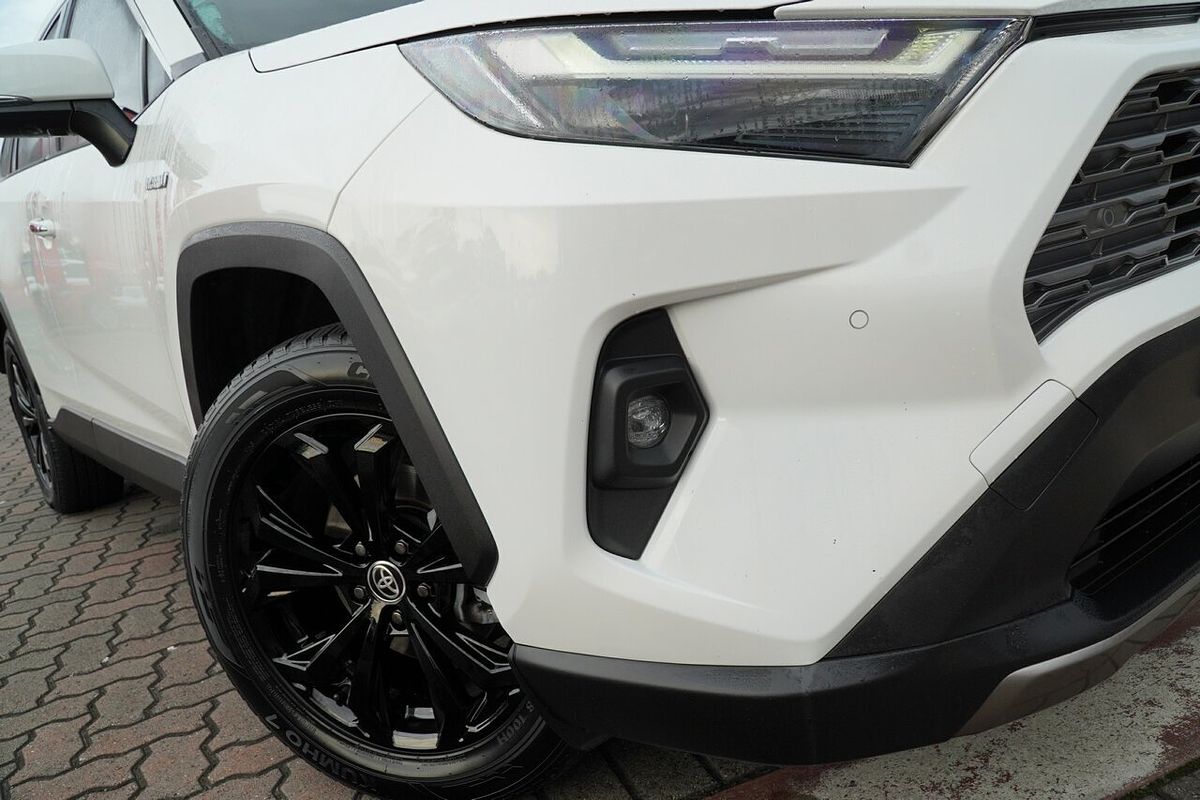 2022 Toyota RAV4 Cruiser AXAH52R