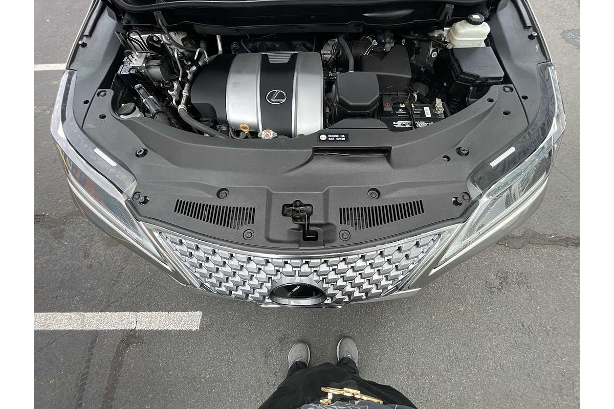 2020 Lexus RX