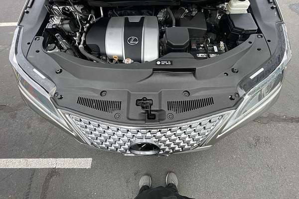 2020 Lexus RX