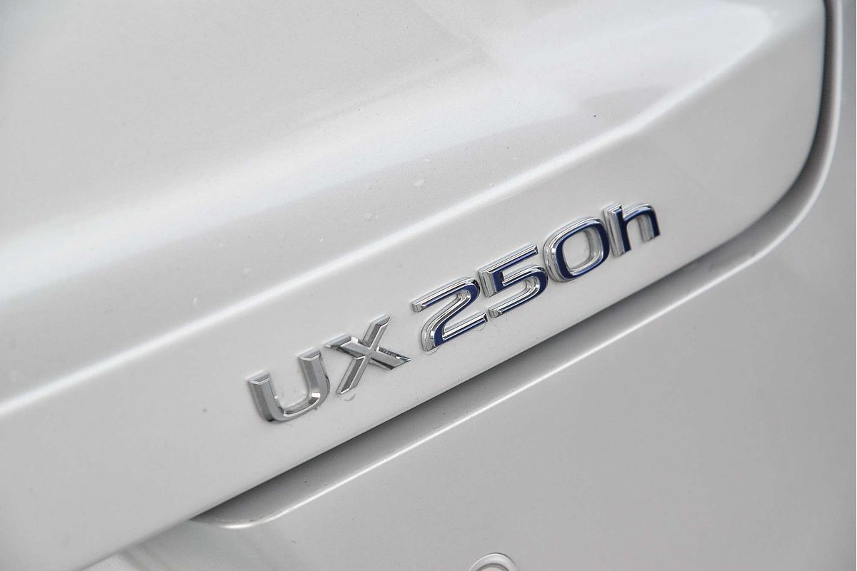 2021 Lexus UX UX250h Luxury MZAH10R