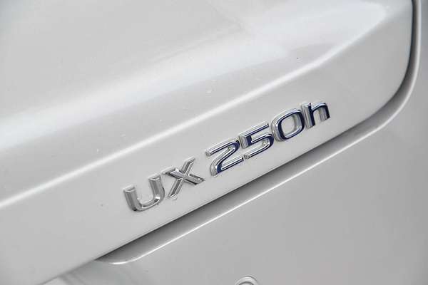 2021 Lexus UX UX250h Luxury MZAH10R