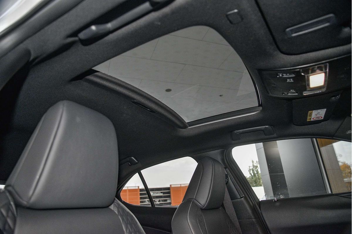 2021 Lexus UX UX250h Luxury MZAH10R