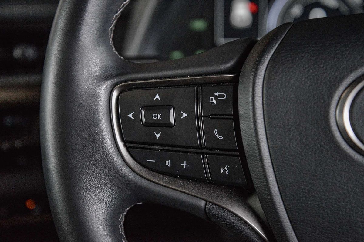 2021 Lexus UX UX250h Luxury MZAH10R