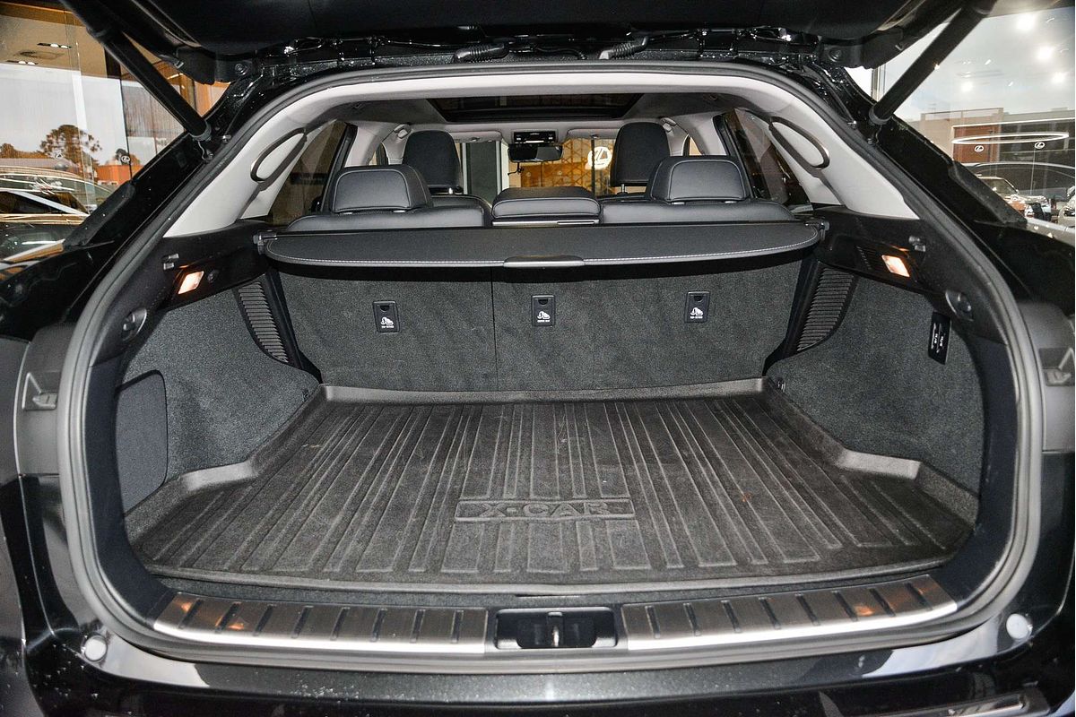 2019 Lexus RX RX450h Sports Luxury GYL25R
