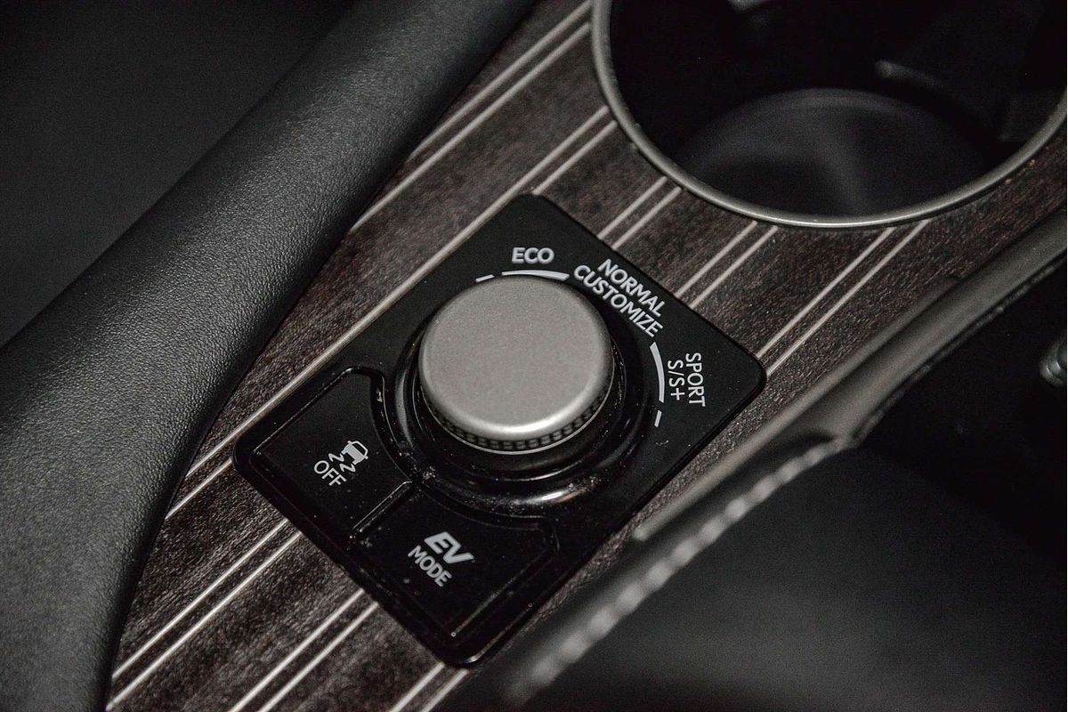 2019 Lexus RX RX450h Sports Luxury GYL25R