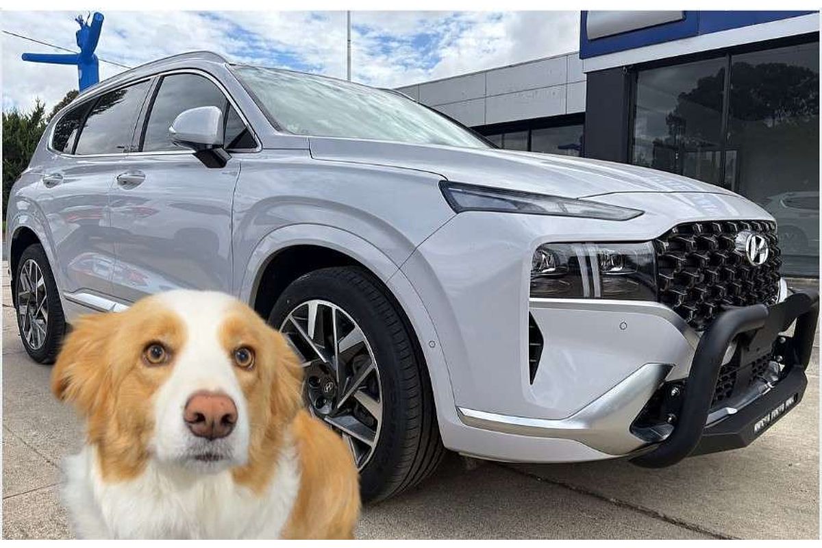 2022 Hyundai Santa Fe Highlander TM.V4
