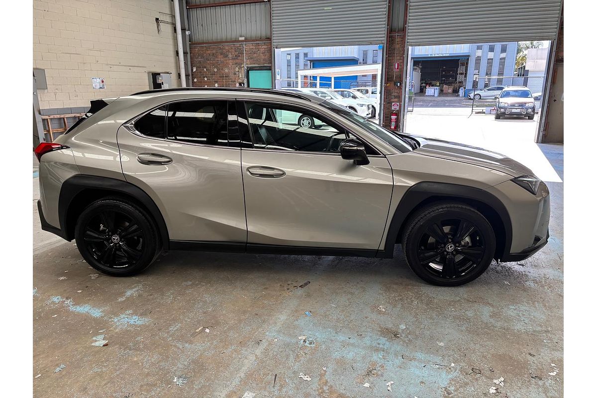 2021 Lexus UX UX200 Crafted Edition MZAA10R