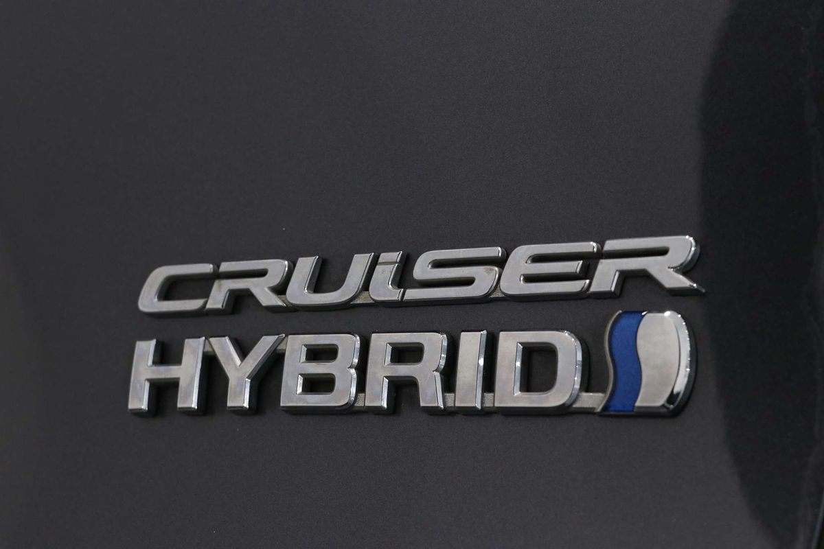 2019 Toyota RAV4 Cruiser AXAH54R