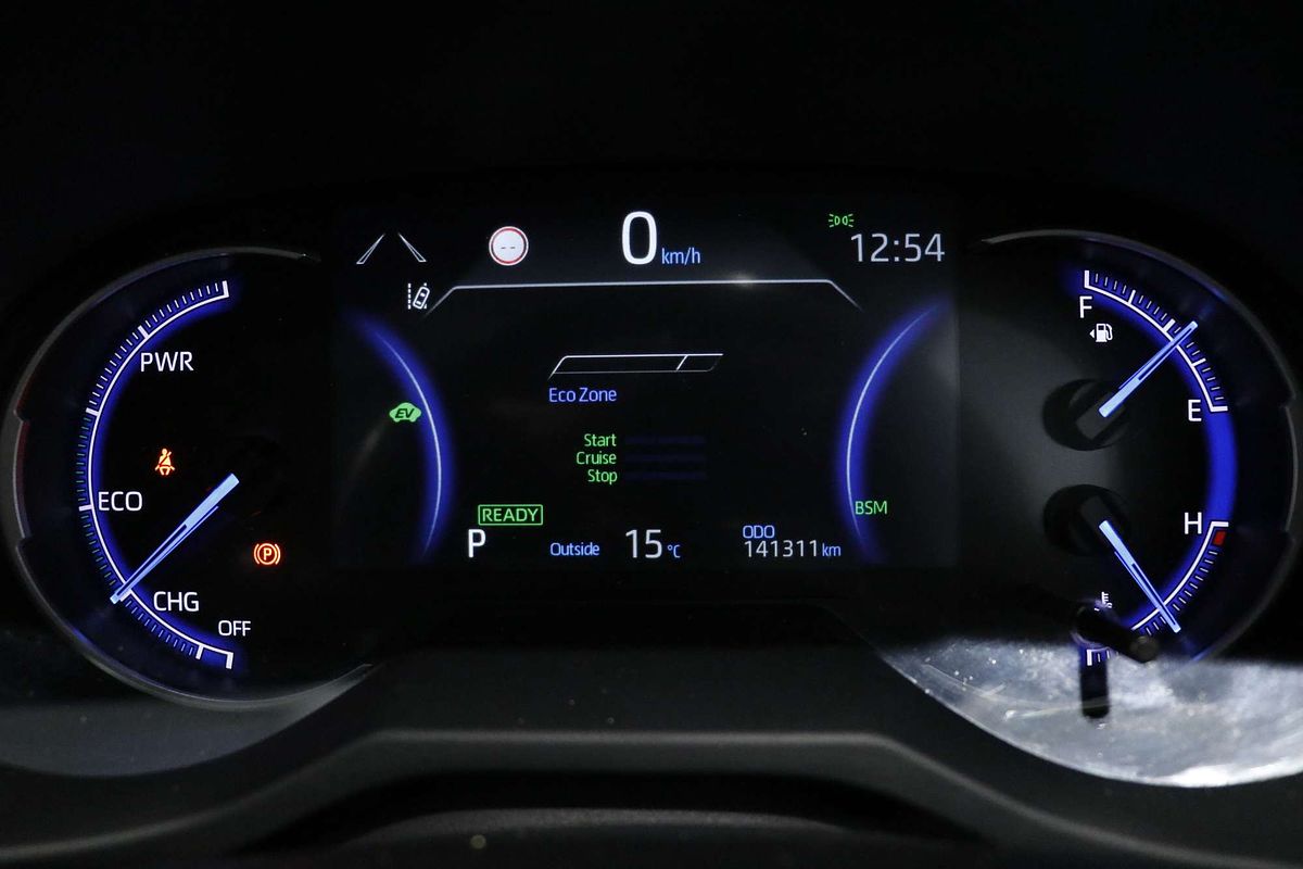 2019 Toyota RAV4 Cruiser AXAH54R