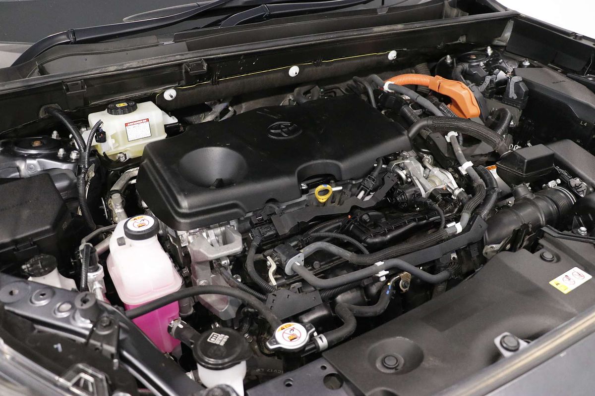2019 Toyota RAV4 Cruiser AXAH54R